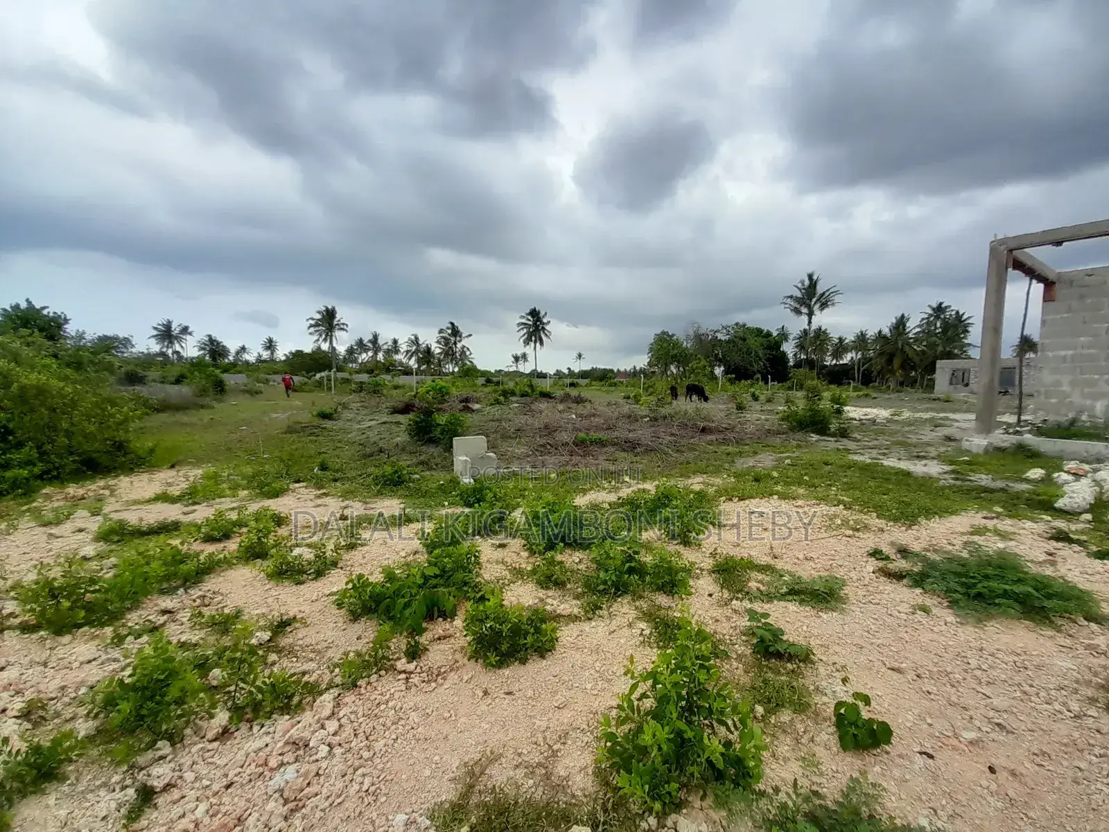 Beach Plot No 2 Inauzwa Kigamboni Kibugumo Kidete