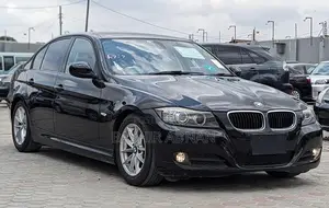 BMW 3 Series 320i RWD 2010 Matt Black