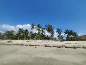 Amaizing Beach Plot on Sale Sange Pangani