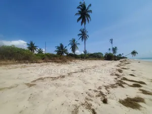 Amaizing Beach Plot on Sale Sange Pangani