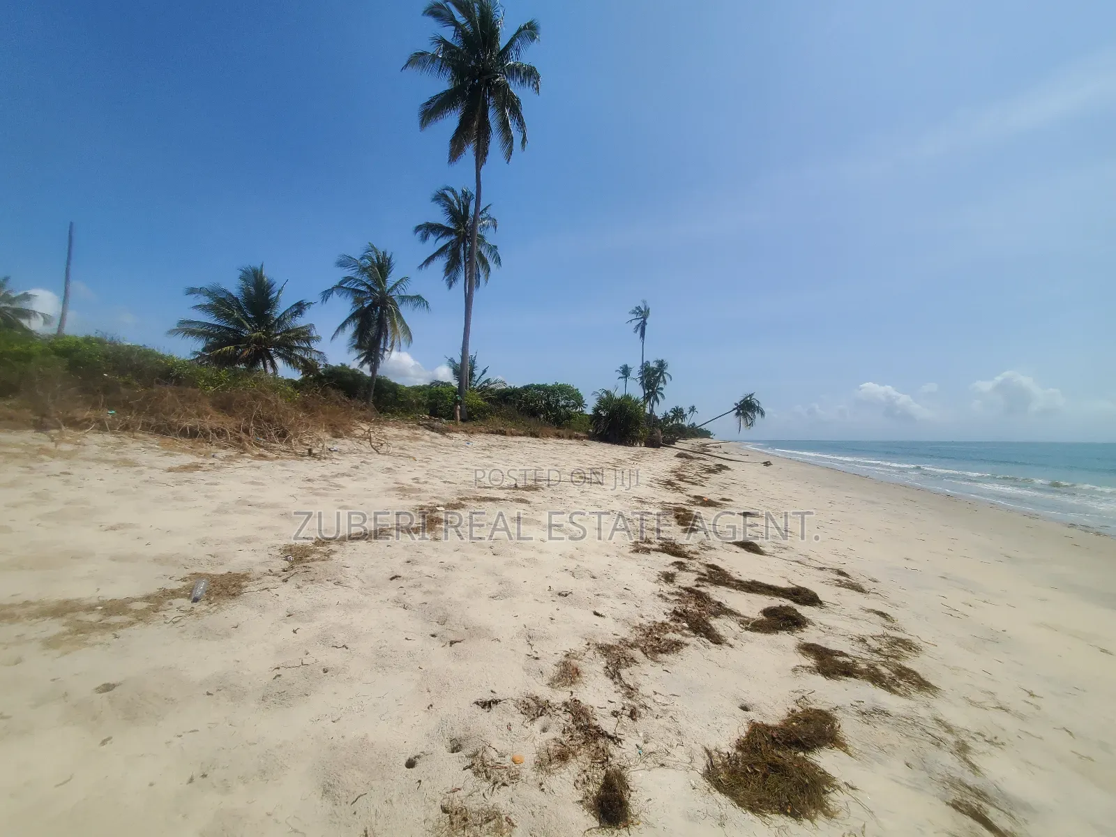 Amaizing Beach Plot on Sale Sange Pangani