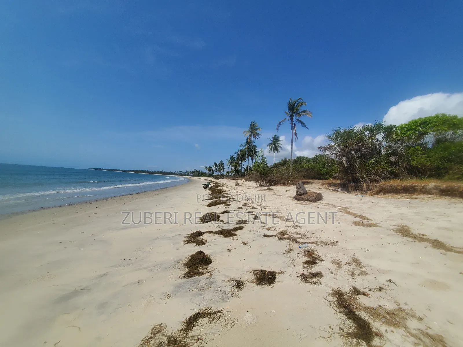 Amaizing Beach Plot on Sale Sange Pangani