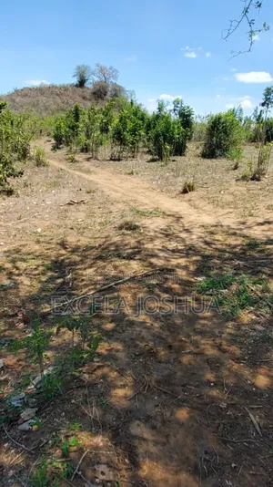 Shamba Linauzwa Kiwangwa Bagamoyo