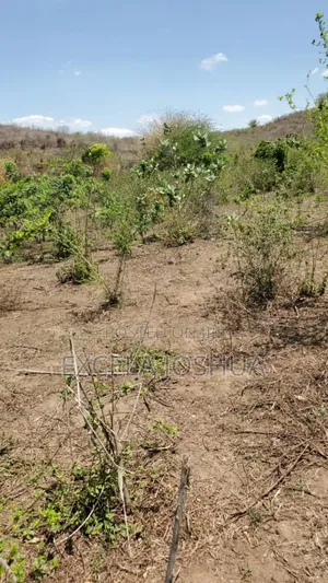 Shamba Linauzwa Kiwangwa Bagamoyo