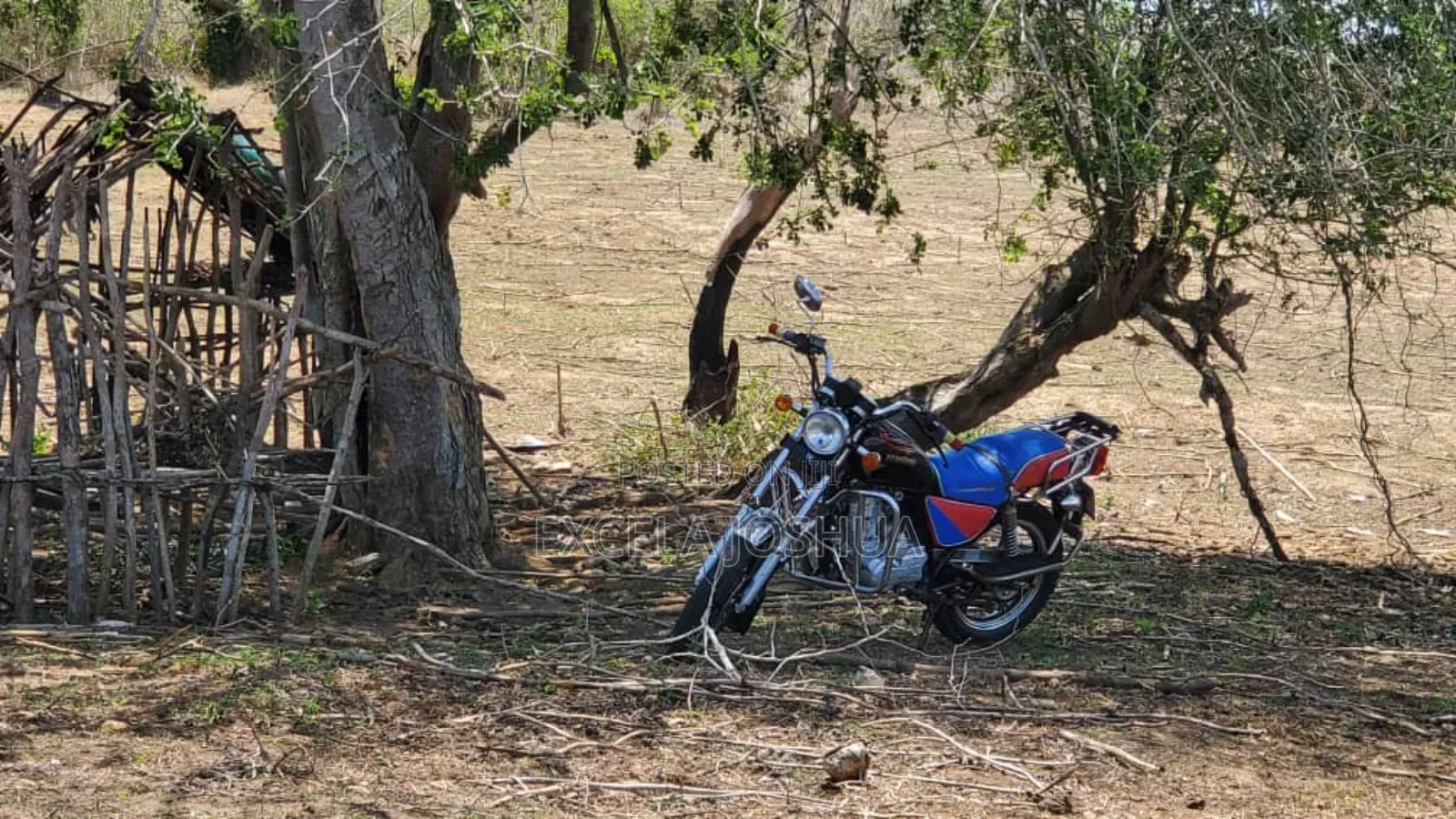 Shamba Linauzwa Kiwangwa Bagamoyo