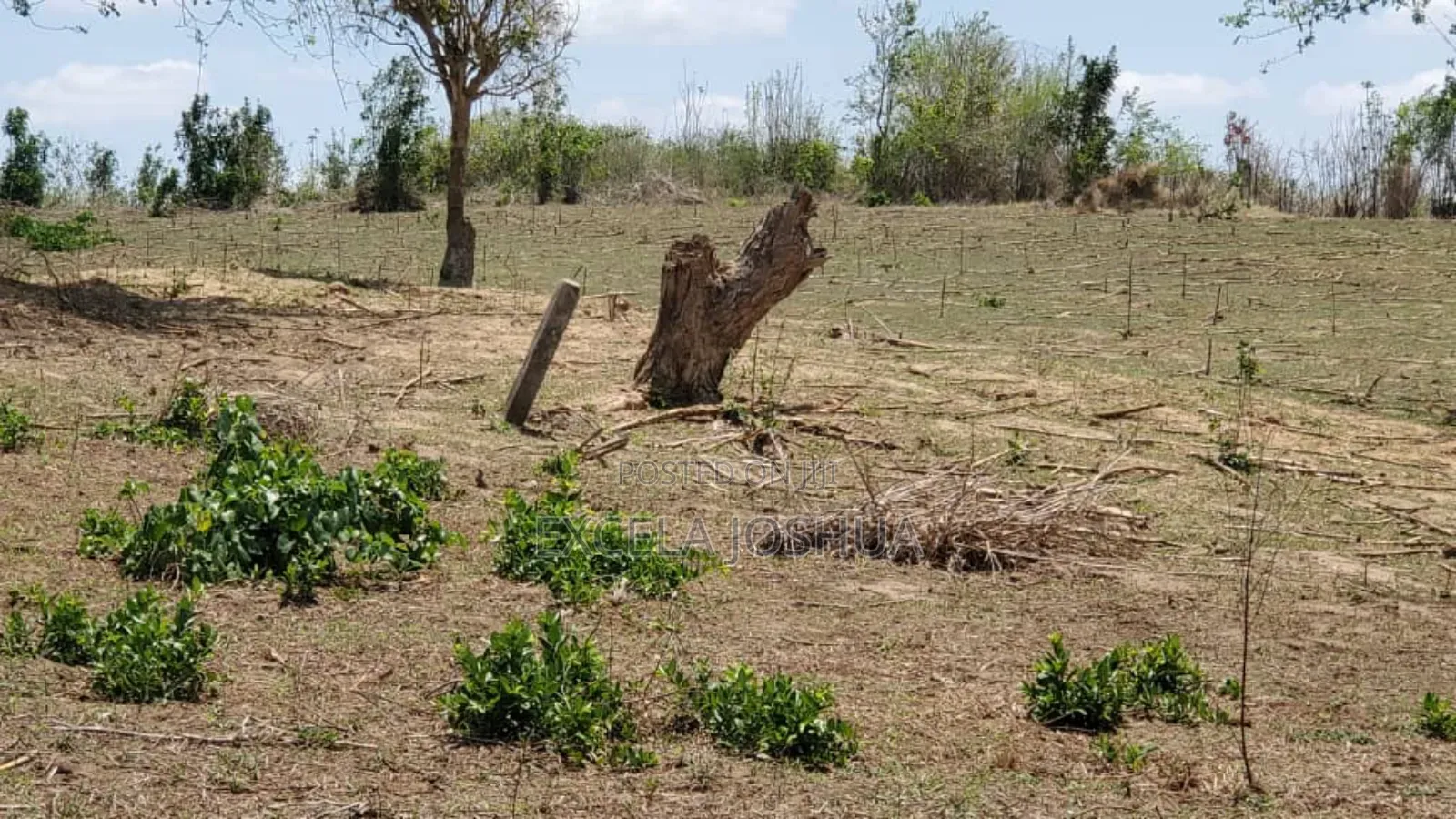 Shamba Linauzwa Kiwangwa Bagamoyo