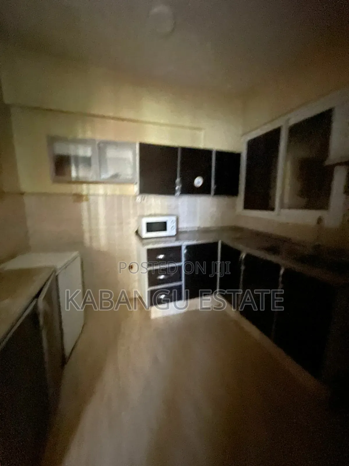 Furnished 4bdrm Apartment in Upanga for rent