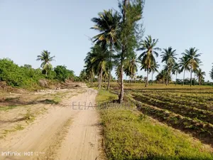 White Sand Beach Plot for Sale in Kizimkazi-Zanzibar