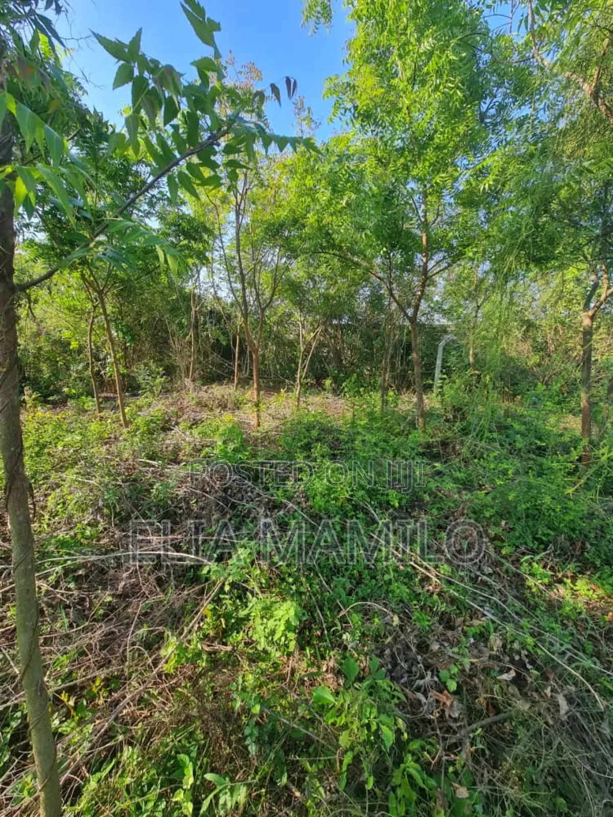 Beach Plot Number Two (Second Row) for Sale in KIGAMBONI,