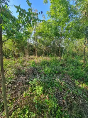 Beach Plot Number Two (Second Row) for Sale in KIGAMBONI,