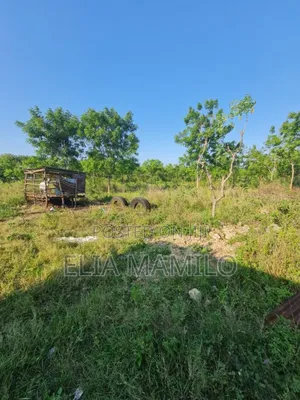 Beach Plot Number Two (Second Row) for Sale in KIGAMBONI,