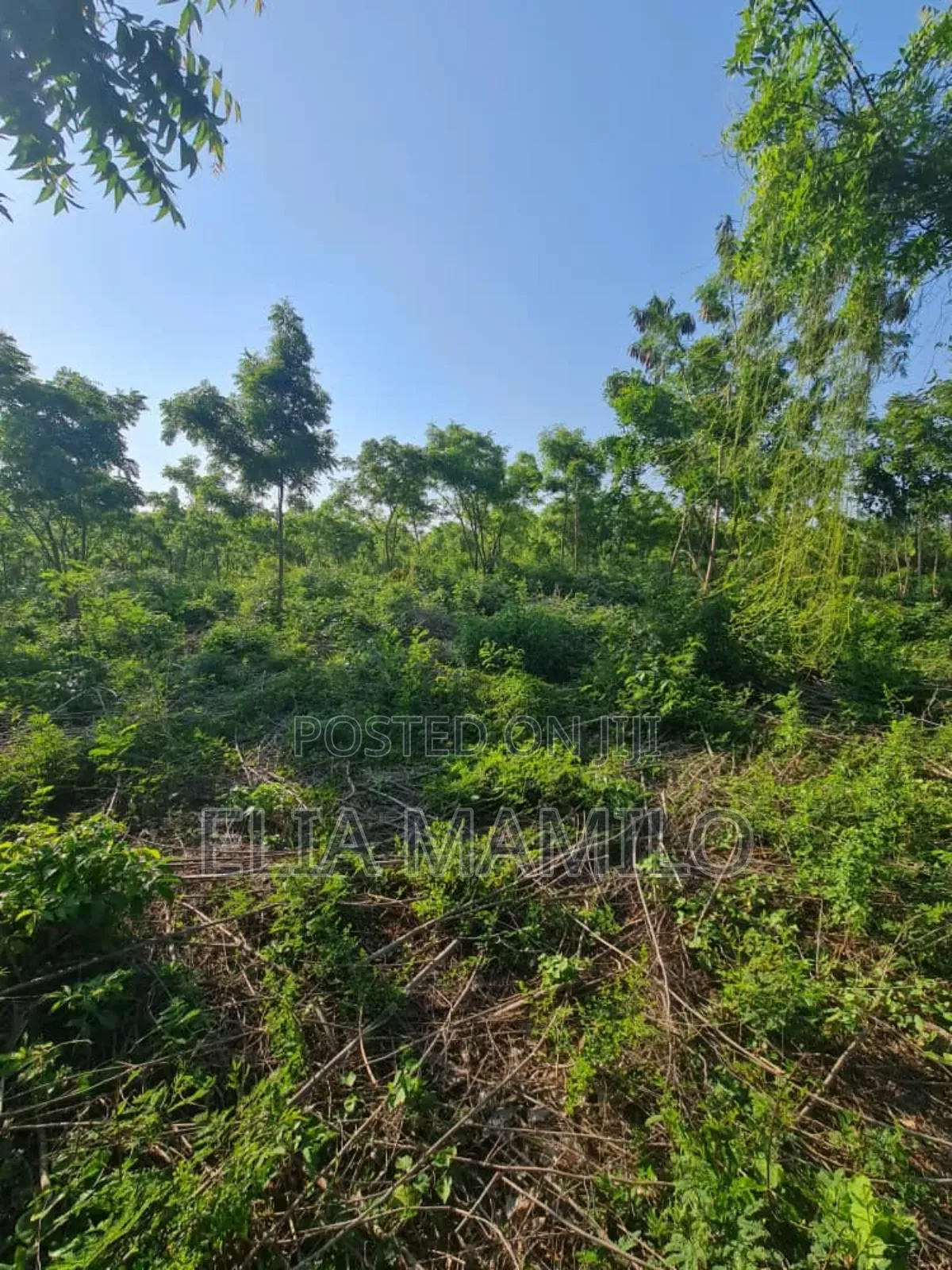 Beach Plot Number Two (Second Row) for Sale in KIGAMBONI,