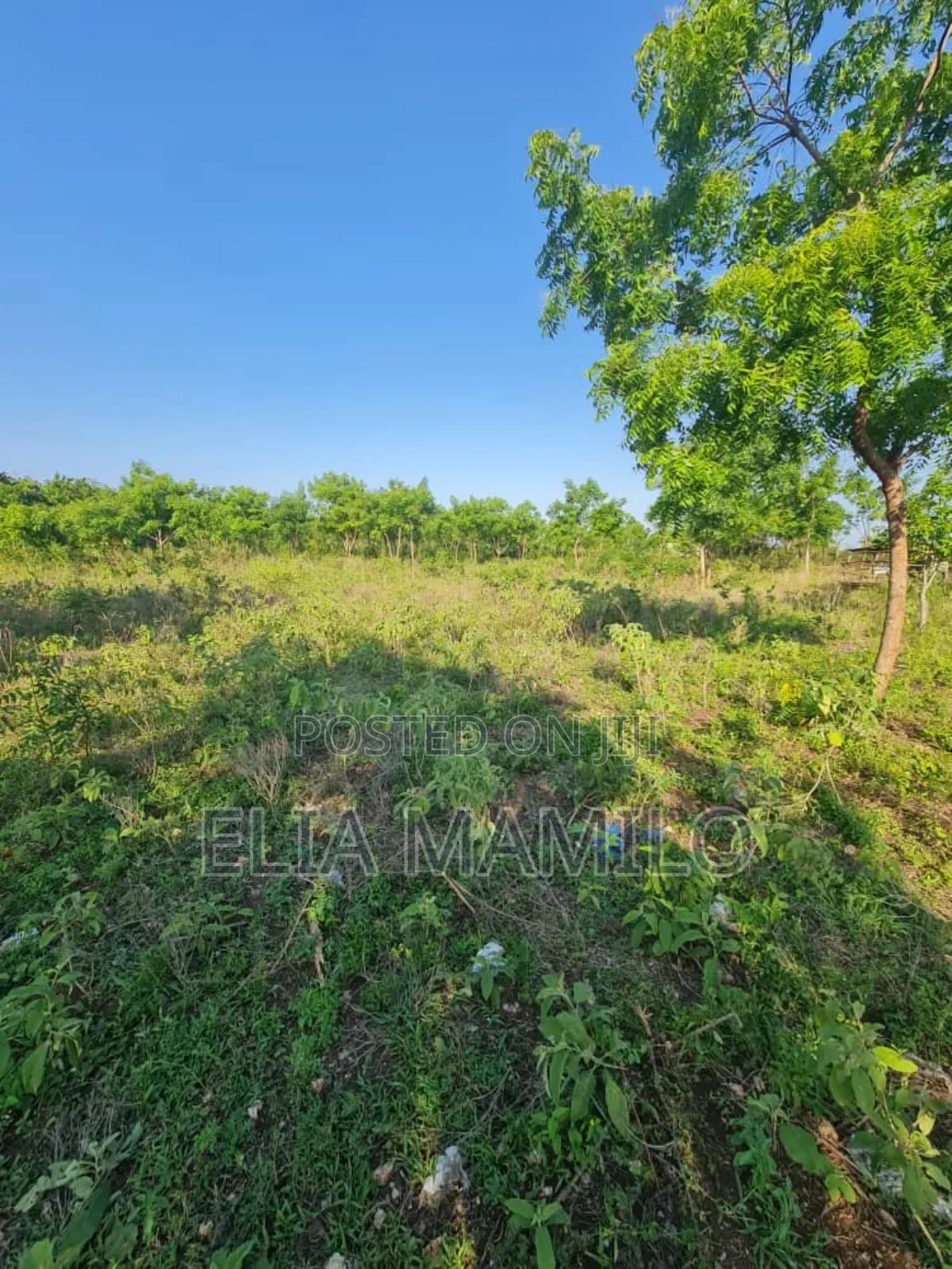 Beach Plot Number Two (Second Row) for Sale in KIGAMBONI,