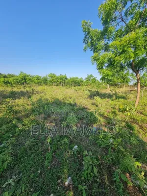 Beach Plot Number Two (Second Row) for Sale in KIGAMBONI,