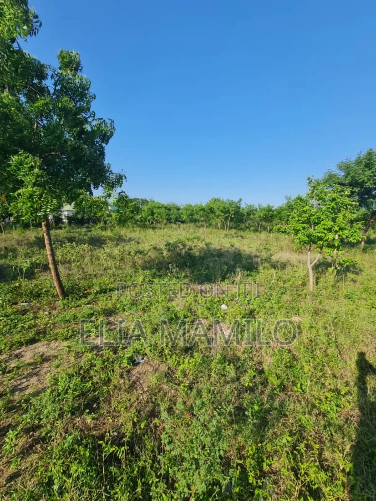 Beach Plot Number Two (Second Row) for Sale in KIGAMBONI,