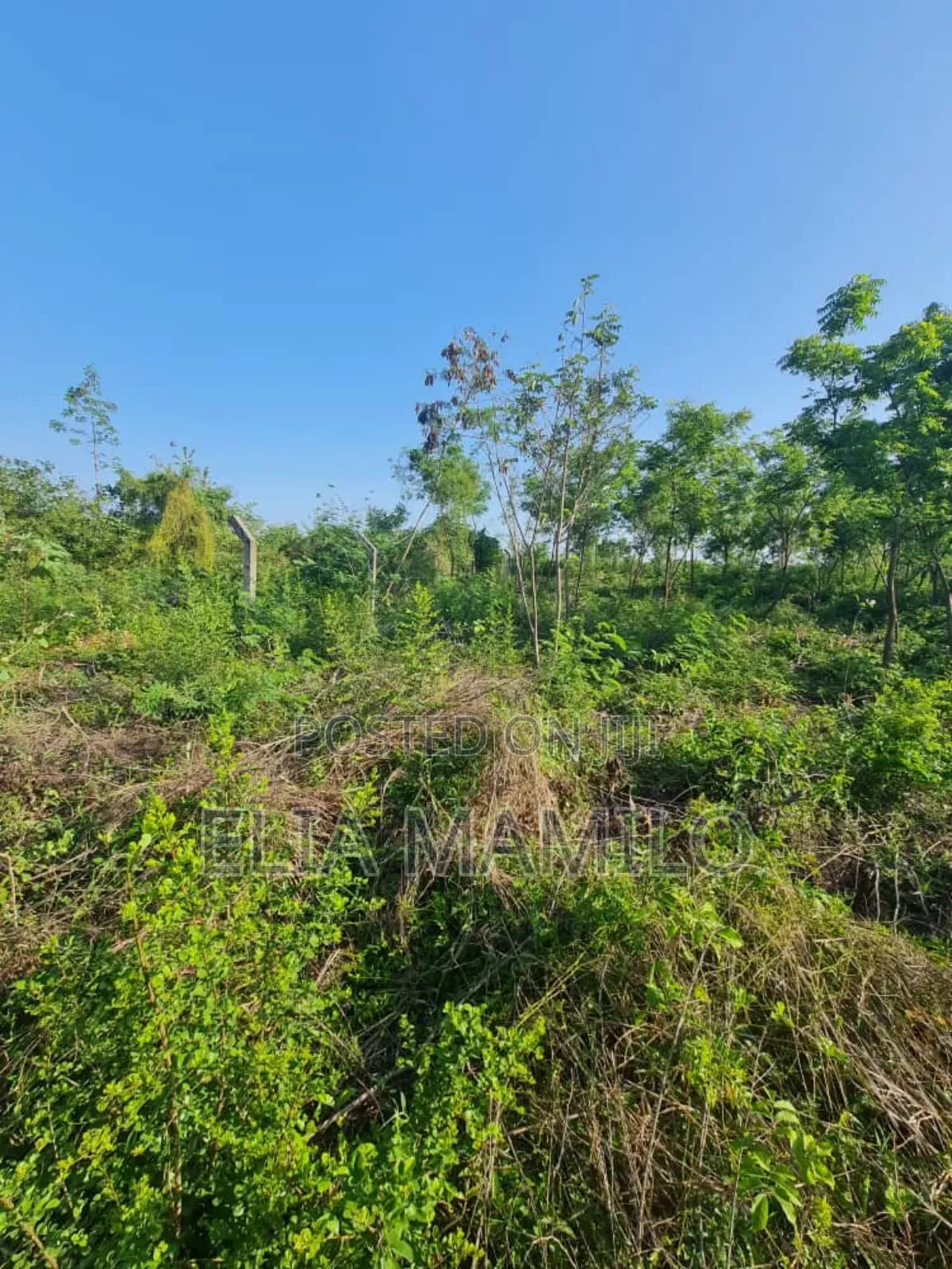 Beach Plot Number Two (Second Row) for Sale in KIGAMBONI,