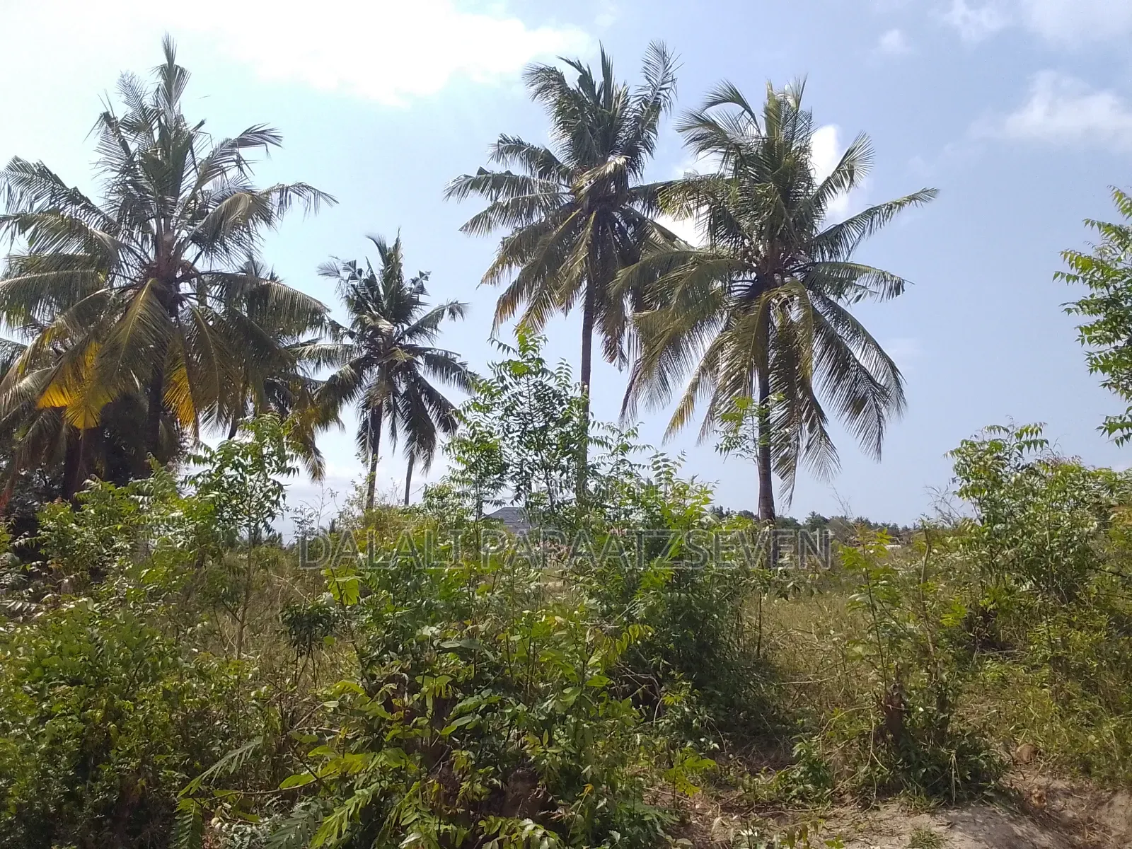 Eneo Lenye Ukubwa Wa SQMT 4500 Linauzwa Lipo Salasala