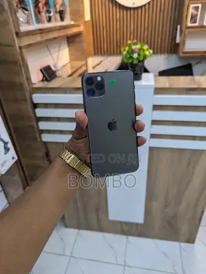 Apple iPhone 11 Pro Max 256 GB Gray