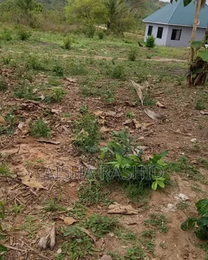 Kiwanja Kwa Ajili Ya Makazi