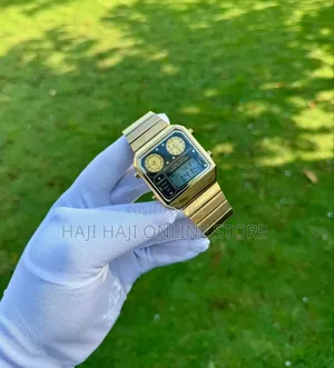Casio Double Watch