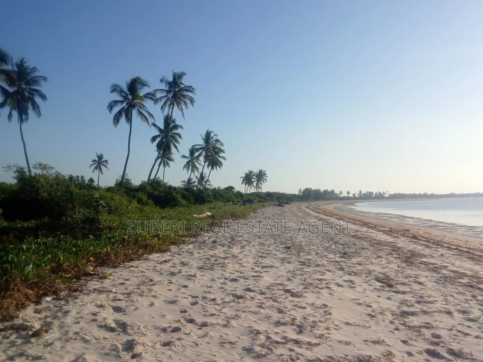 Beach Plot on Sale Stahabu Pwani Pangani .