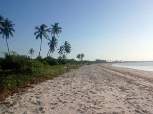 Beach Plot on Sale Stahabu Pwani Pangani .