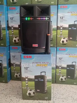 CSN 307 Professional High Quality Rechargeable Speaker