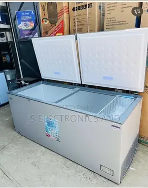 Roch Freezer Ni Double Door Litres 708 Ina Silver Color