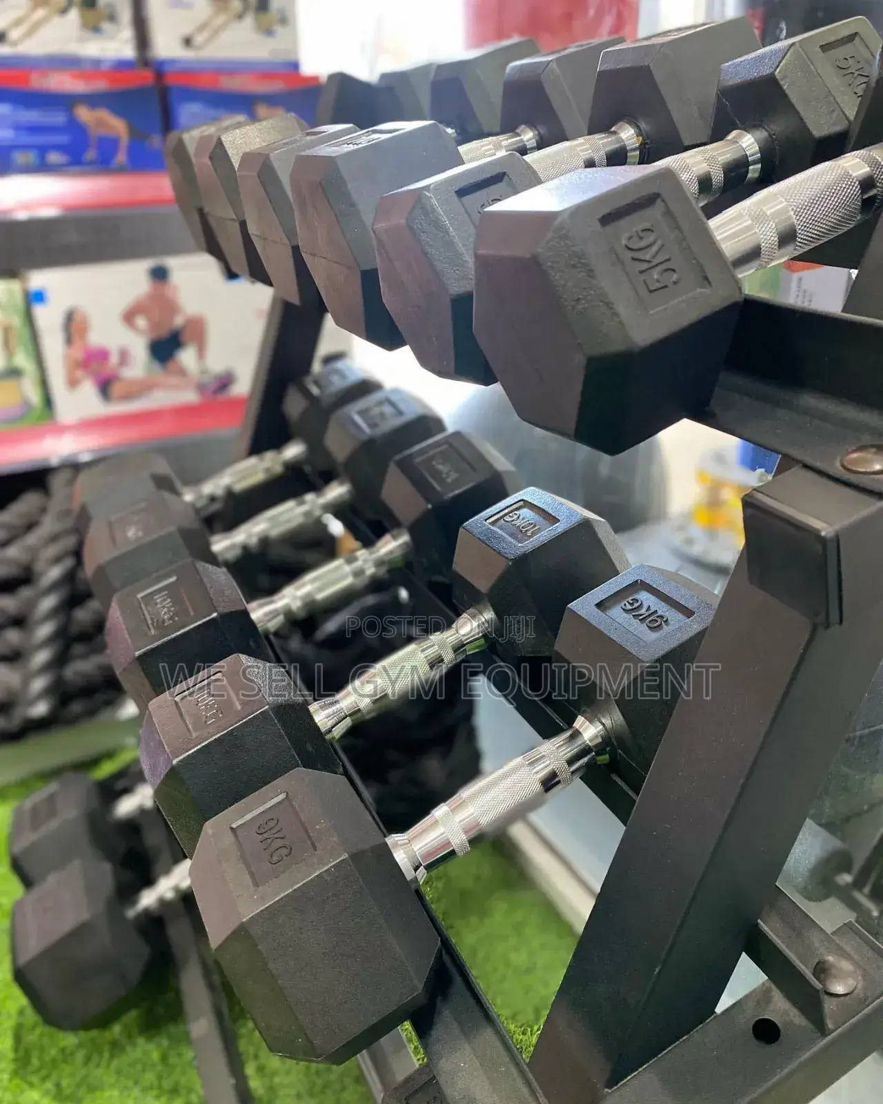 Dumbbells Pair