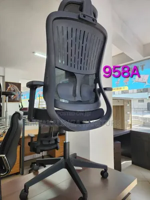 Mesh Egnomic Chair