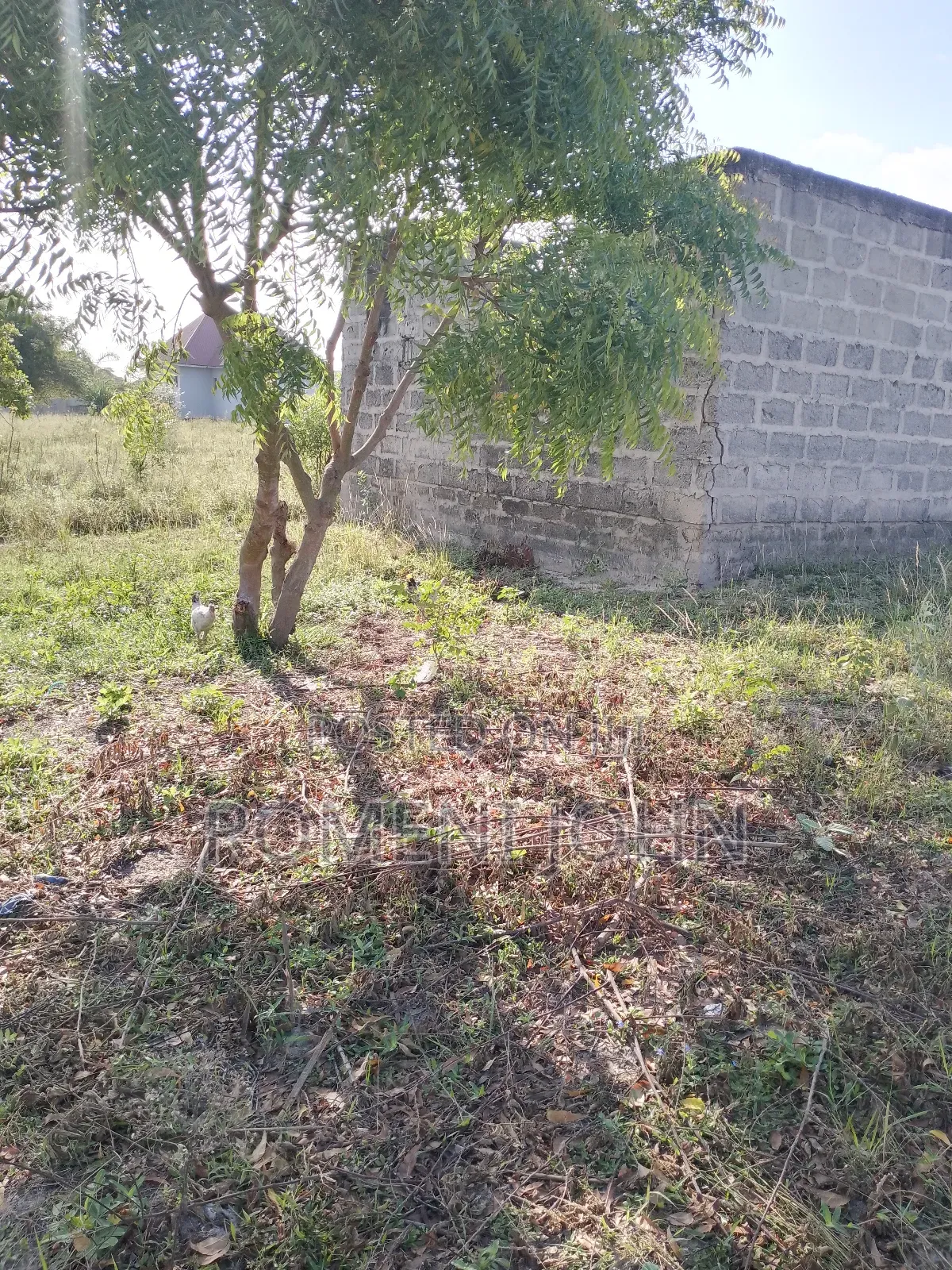 Eneo Lenye Ukubwa Sqmita 800 Linauzwa Ml 25 Majohe Viwege.