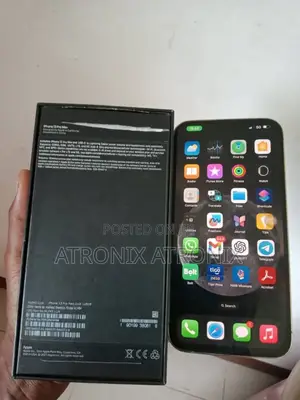 Apple iPhone 13 Pro Max 256 GB