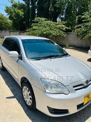 Toyota Allex 2005 Silver