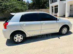 Toyota Allex 2005 Silver