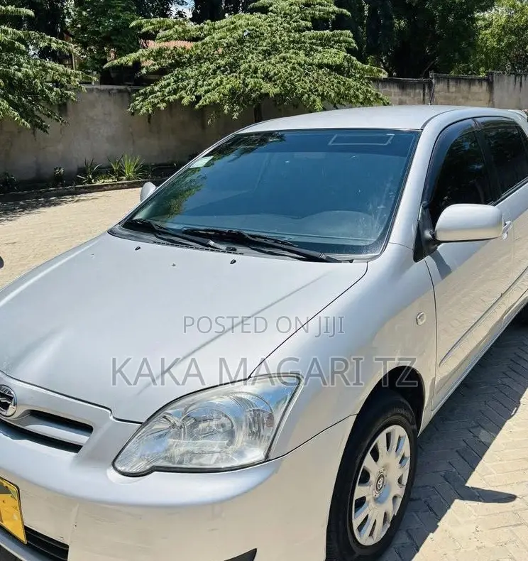 Toyota Allex 2005 Silver