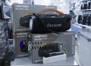 Skywood Portable Rechargeable Speaker 24E 120W With Mic