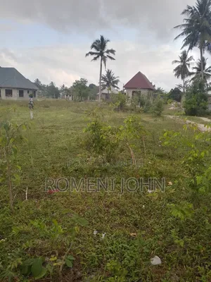 Kiwanja Sqmita 200 Kinauzwa Milioni 4.5 Majohe Viwege.