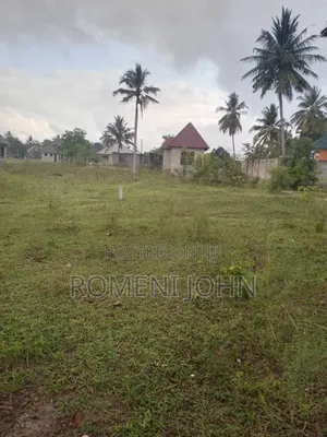 Kiwanja Sqmita 200 Kinauzwa Milioni 4.5 Majohe Viwege.