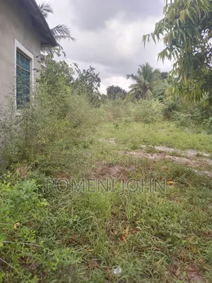 Kiwanja Sqmita 150 Kinauzwa Milioni 3.8 Majohe Viwege.