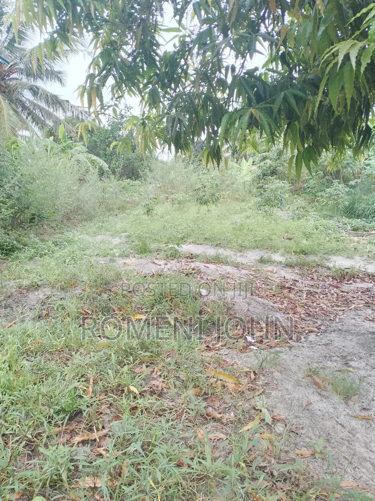 Kiwanja Sqmita 150 Kinauzwa Milioni 3.8 Majohe Viwege.