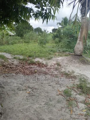 Kiwanja Sqmita 150 Kinauzwa Milioni 3.8 Majohe Viwege.