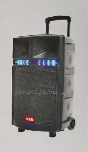 CSN-307 Speaker With 2 Microphones
