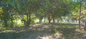 Industrial Plot Mbagala Rangi 3