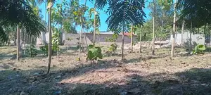 Industrial Plot Mbagala Rangi 3