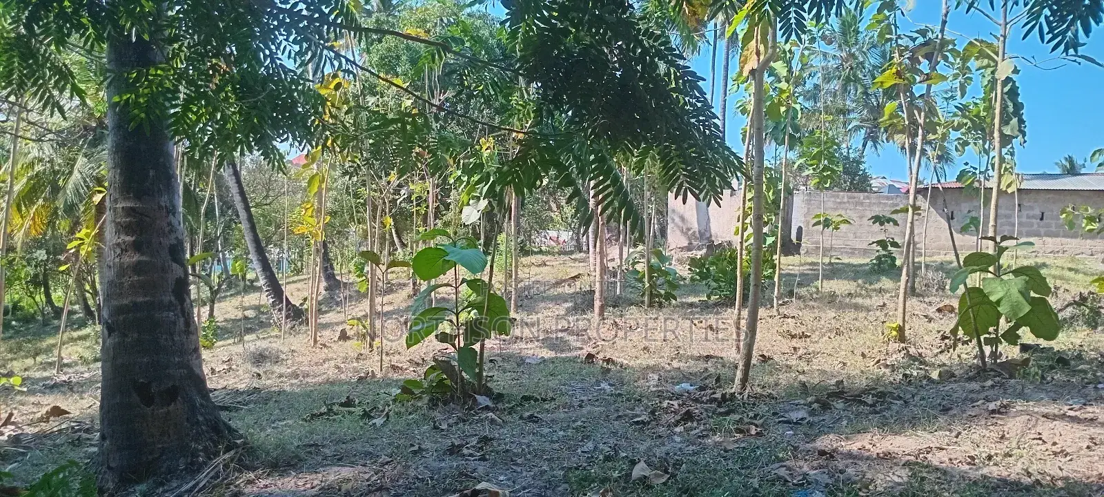 Industrial Plot Mbagala Rangi 3