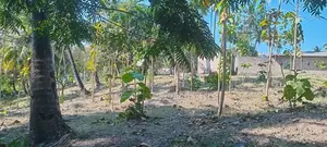 Industrial Plot Mbagala Rangi 3