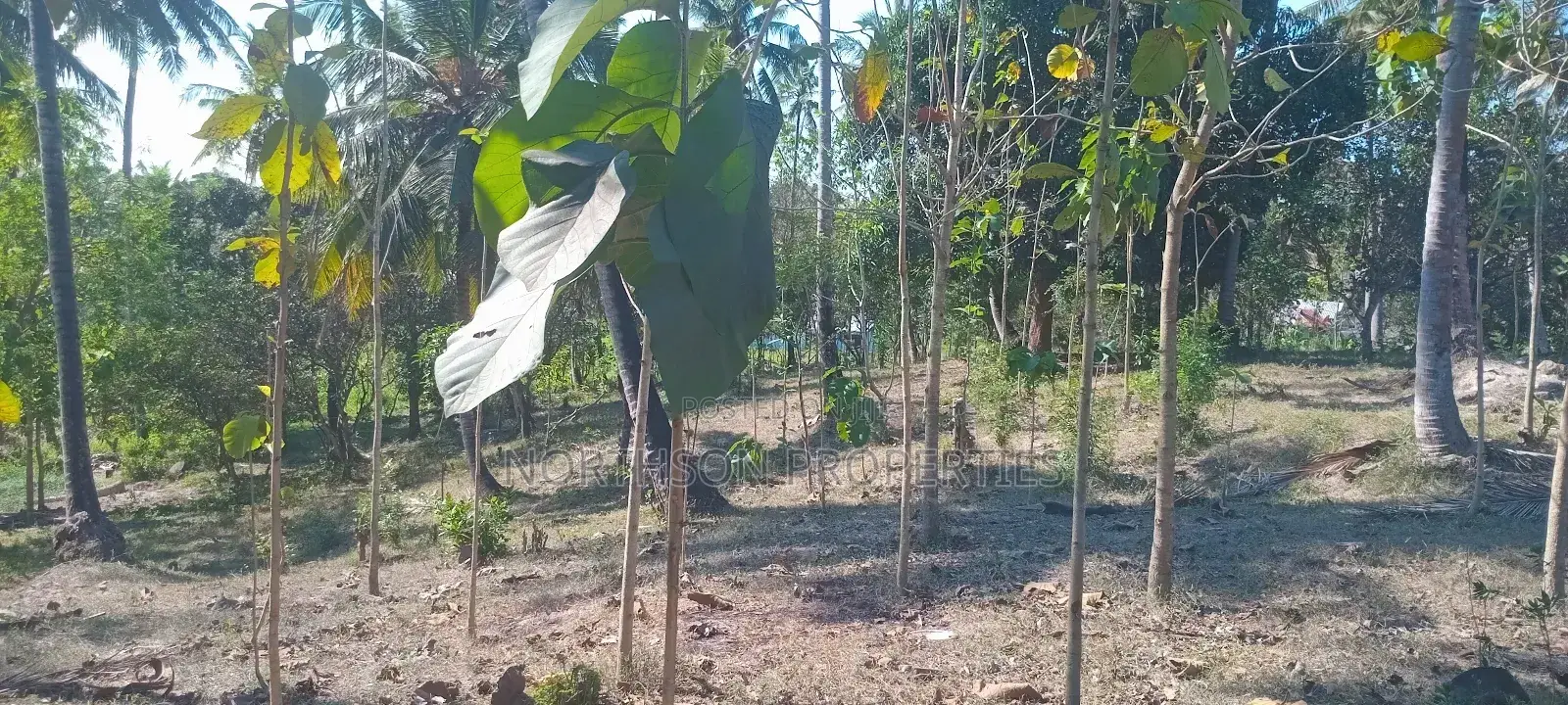Industrial Plot Mbagala Rangi 3