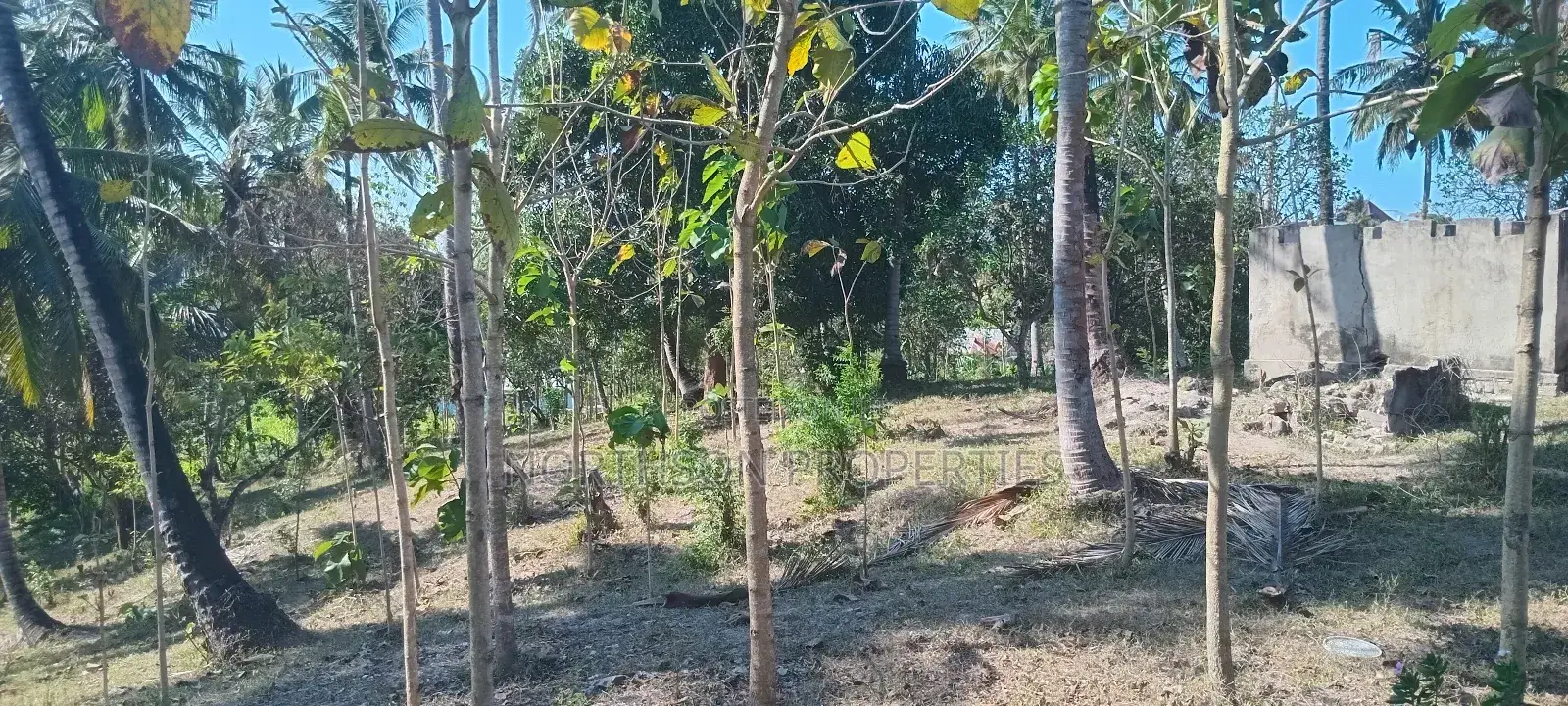 Industrial Plot Mbagala Rangi 3