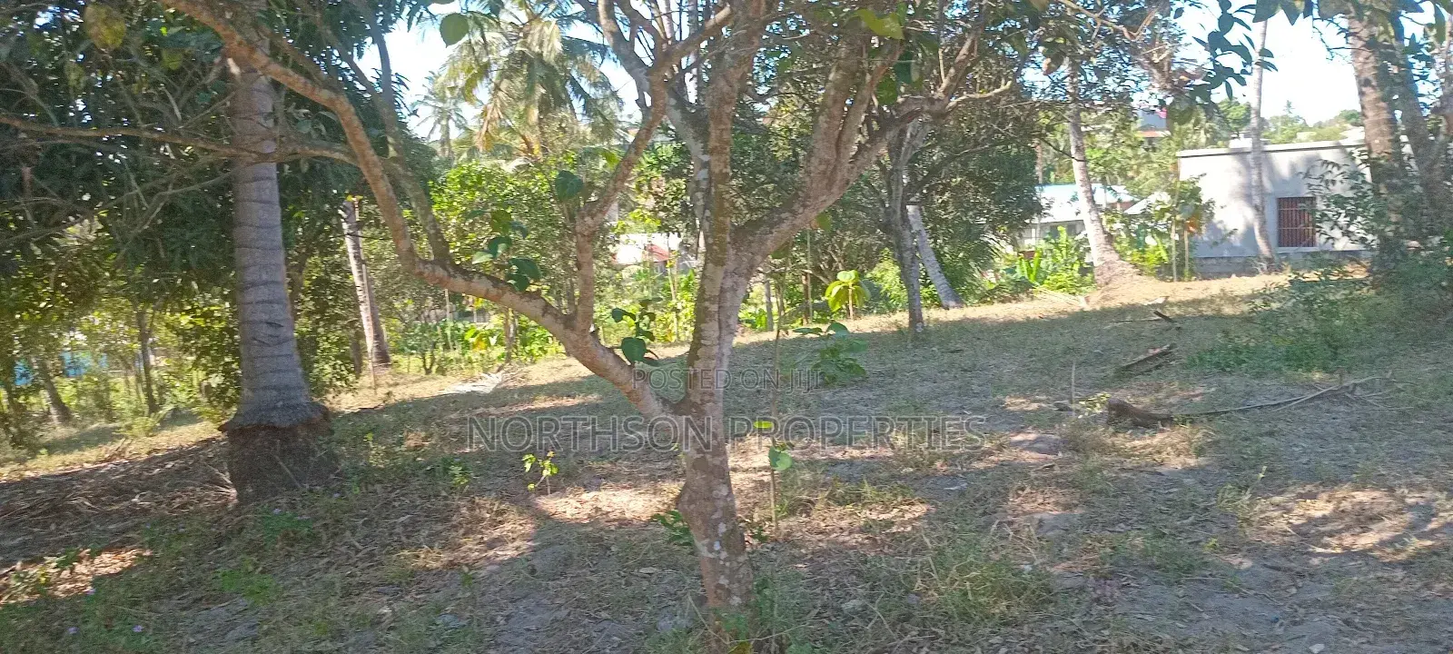 Industrial Plot Mbagala Rangi 3