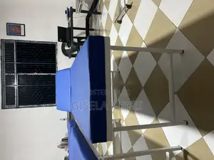 Hospital Examination Bed
